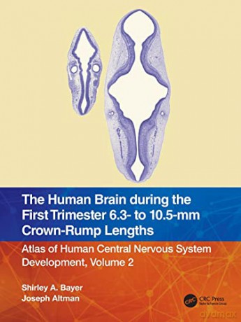The Human Brain during the First Trimester 6.3- to 10.5-mm Crown-Rump Lengths: Atlas of Human Central Nervous System Development, Volume 2 - Joseph Altman [KSIĄŻKA]