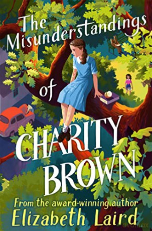 The Misunderstandings of Charity Brown - Elizabeth Laird [KSIĄŻKA]