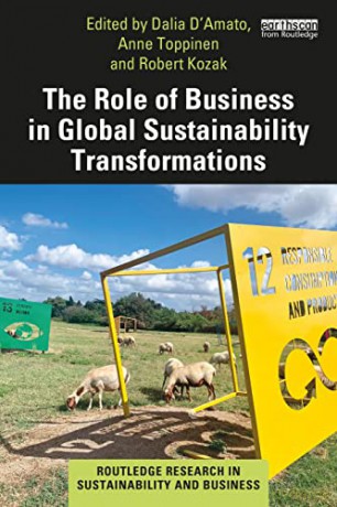 The Role of Business in Global Sustainability Transformations - Dalia D'Amato [KSIĄŻKA]