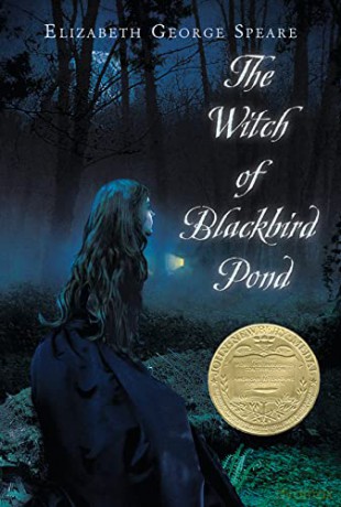 The Witch of Blackbird Pond: A Newbery Award Winner - Elizabeth George Speare [KSIĄŻKA]