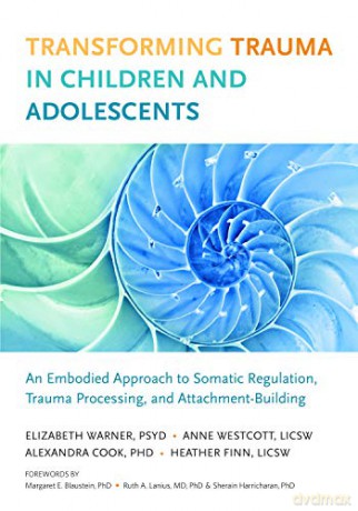 Transforming Trauma in Children and Adolescents: An Embodied Approach to Somatic Regulation, Trauma Processing, and Attachment-Building - Heather Finn [KSIĄŻKA]