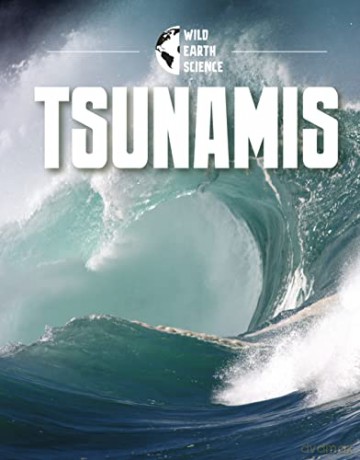 Tsunamis - Isaac Kerry [KSIĄŻKA]