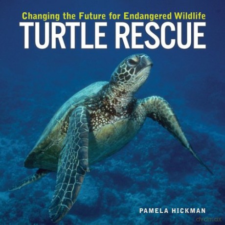 Turtle Rescue: Changing the Future for Endangered Wildlife - Pamela Hickman [KSIĄŻKA]