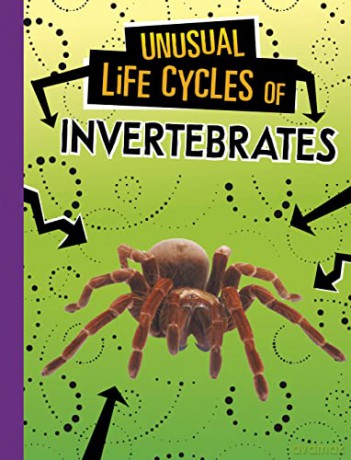 Unusual Life Cycles of Invertebrates - Jaclyn Jaycox [KSIĄŻKA]