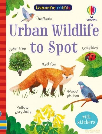 Urban Wildlife to Spot - Kate Nolan [KSIĄŻKA]