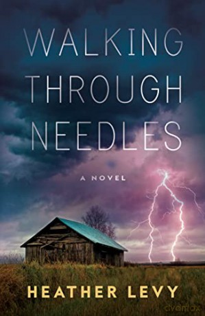 Walking Through Needles - Heather Levy [KSIĄŻKA]