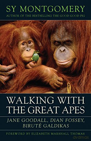 Walking with the Great Apes: Jane Goodall, Dian Fossey, Biruté Galdikas - Sy Montgomery [KSIĄŻKA]