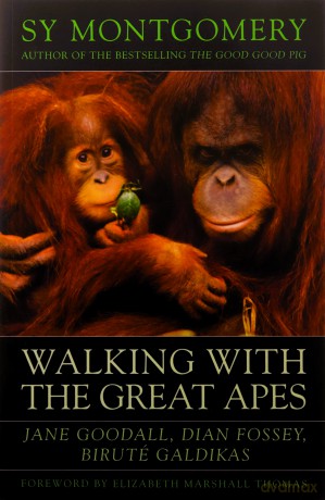 Walking with the Great Apes: Jane Goodall, Dian Fossey, Biruté Galdikas - Sy Montgomery [KSIĄŻKA]