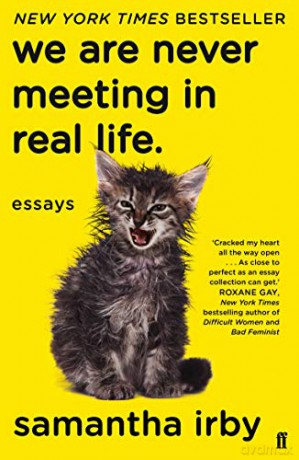 We Are Never Meeting in Real Life: essays - Samantha Irby [KSIĄŻKA]