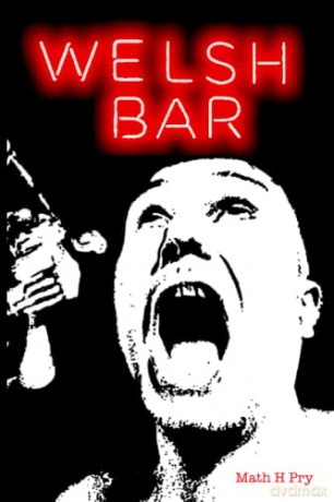 Welsh Bar - Math H Pry [KSIĄŻKA]