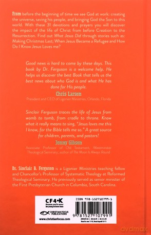 What Jesus Did: 31 Devotions about the life of Jesus - Sinclair B. Ferguson [KSIĄŻKA]