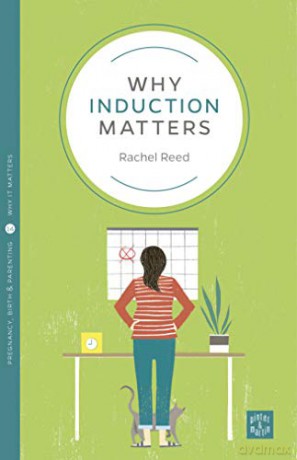 Why Induction Matters - Rachel Reed [KSIĄŻKA]