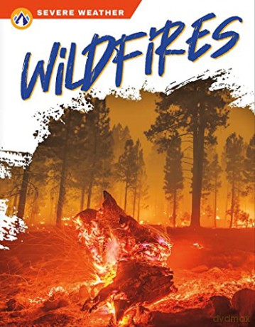 Wildfires - Candice Ransom [KSIĄŻKA]