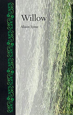 Willow - Alison Syme [KSIĄŻKA]
