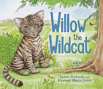 Willow the Wildcat - Lynne Rickards [KSIĄŻKA]