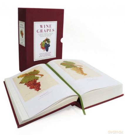 Wine Grapes: A James Beard Award Winner - Julia Harding [KSIĄŻKA]