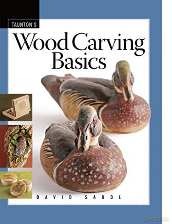 Wood Carving Basics - David Sabol [KSIĄŻKA]