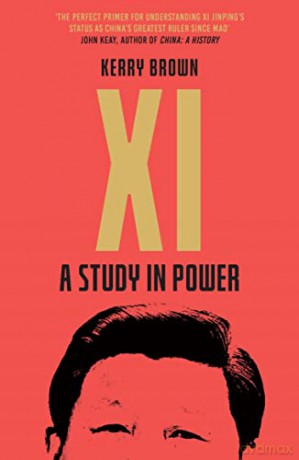 Xi: A Study in Power - Kerry Brown [KSIĄŻKA]