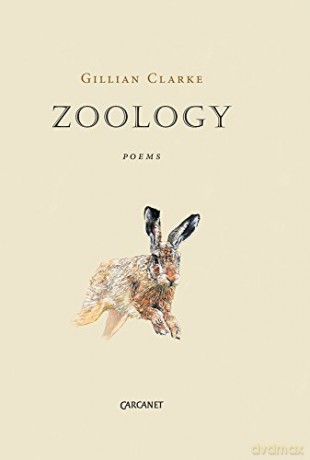 Zoology - Gillian Clarke [KSIĄŻKA]