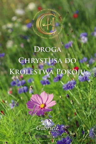 Droga Chrystusa do Królestwa Pokoju - Gabriele [KSIĄŻKA]