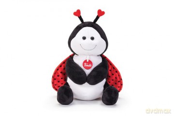 Hearts Biedronka M