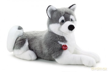 Husky klasyczny XXL