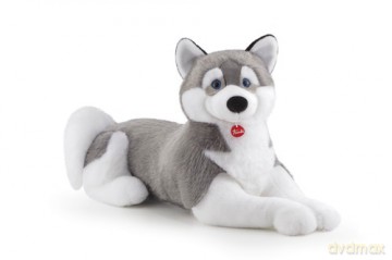 Husky Marcus klasyczny Jumbo