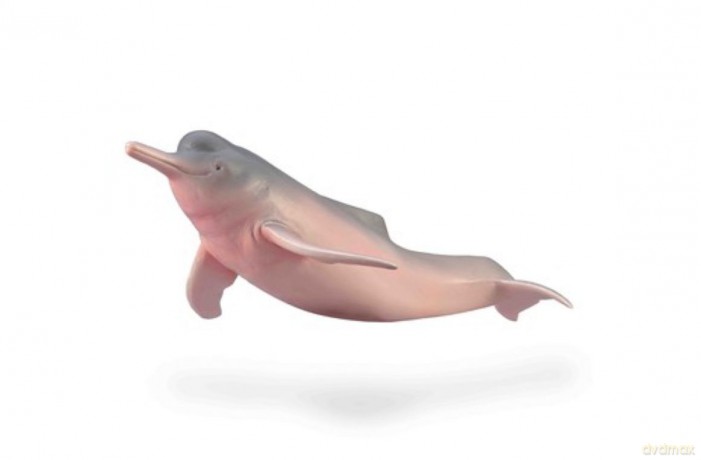 Collecta - Inia amazońska