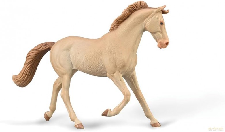 Klacz Thoroughbred maści Perlino