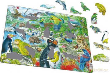 Larsen New Zealand's Picturesque Wildlife (Maxi)
