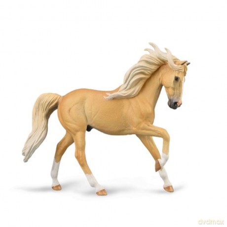 Ogier andaluzyjski maści Palomino