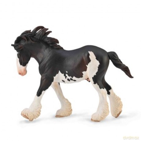Ogier Clydesdale maści Black Sambino