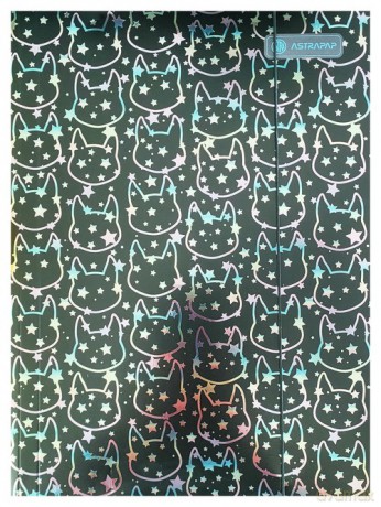 Teczka z gumką Holographic A4 Holo shine 10 sztuk
