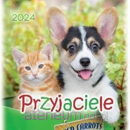Kalendarz 2024 Przyjaciele [KALENDARZ]