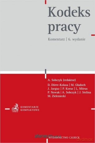 Kodeks pracy. Komentarz - Arkadiusz Sobczyk [KSIĄŻKA]