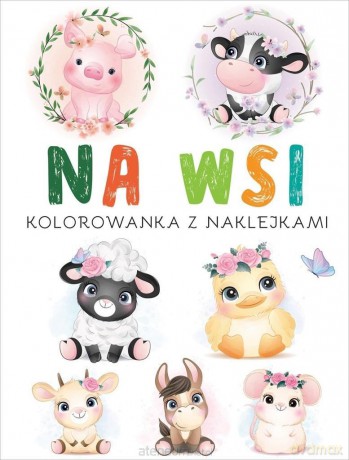 Kolorowanka z naklejkami. Na wsi [KSIĄŻKA]