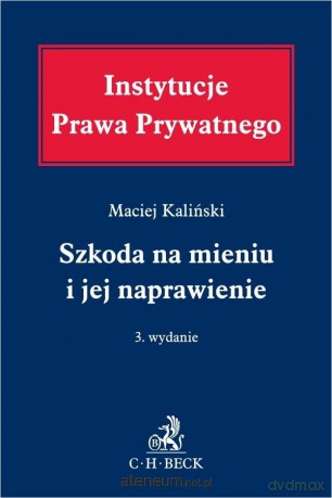 Szkoda na mieniu i jej naprawienie - Maciej Kaliński [KSIĄŻKA]