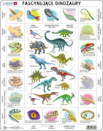 Układanka Fascynujące Dinozaury PL [PUZZLE]