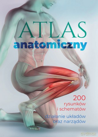 Atlas anatomiczny - Justyna Mazurek [KSIĄŻKA]