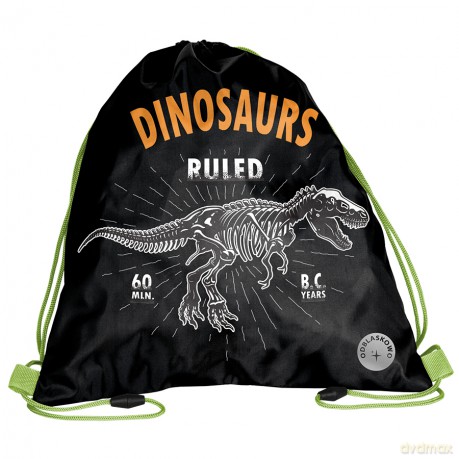 Worek na obuwie Dinosaur BR-712-4