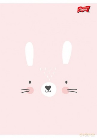 Zeszyt A5 32k 3-linia dwukolorowa cute face pakiet 15 sztuk