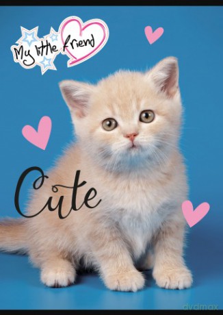 Zeszyt A5 32k 3-linia kolorowa my little friend mix pakiet 15 szt.