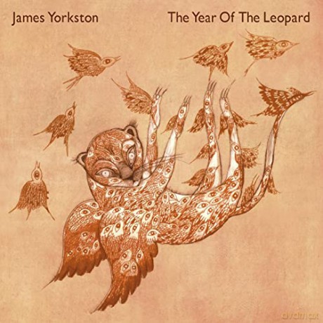 Yorkston James: The Year Of The Leopard [Winyl]