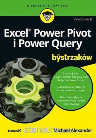 Excel Power Pivot i Power Query dla bystrzaków - Michael Alexander [KSIĄŻKA]