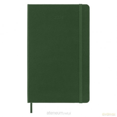 Kalendarz 2024 dzienny L tw.Myrtle Green [KALENDARZ]