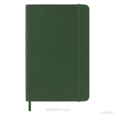 Kalendarz 2024 dzienny P br. Myrtle Green [KALENDARZ]