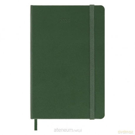 Kalendarz 2024 dzienny P tw. Myrtle Green [KALENDARZ]
