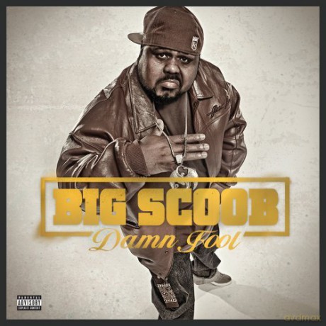 Big Scoob: Damn Fool [CD]