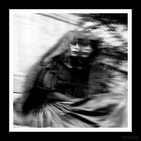 Gallows: Desolation Sounds [CD]