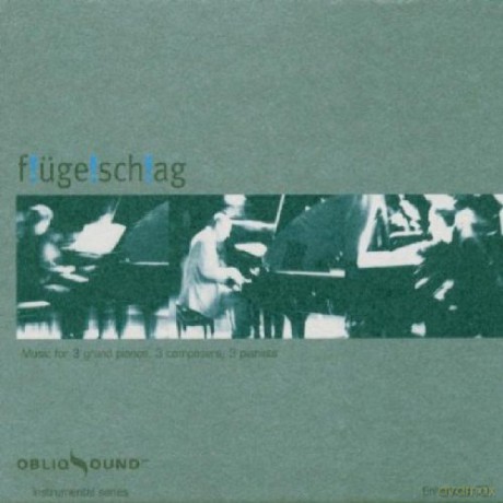 Flugelschlag: Flugelschlag [CD]